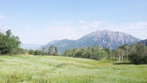 Hike to Summit of Buffalo Peak