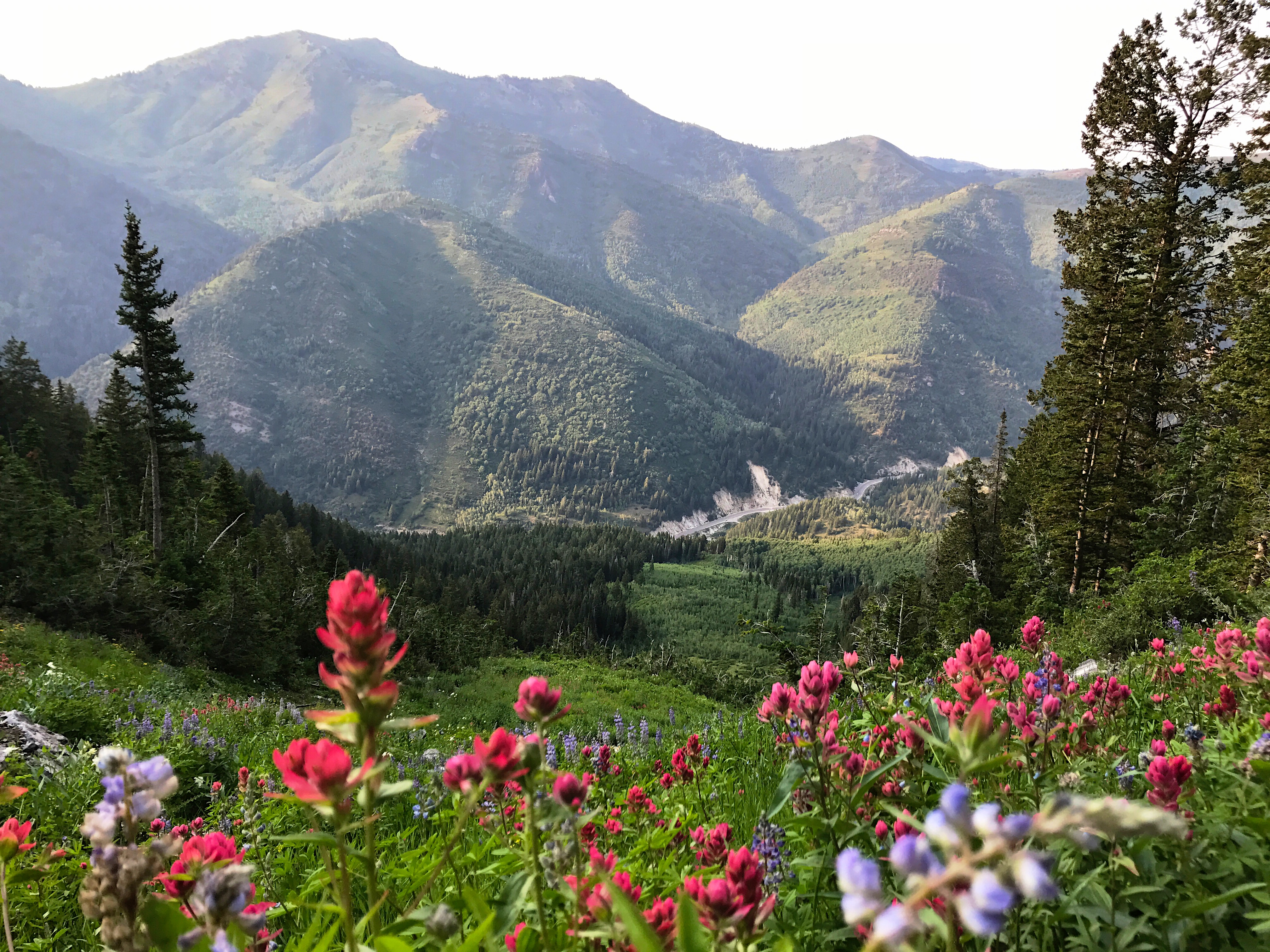 Kessler Peak in Utah's Big Cottonwood Canyon