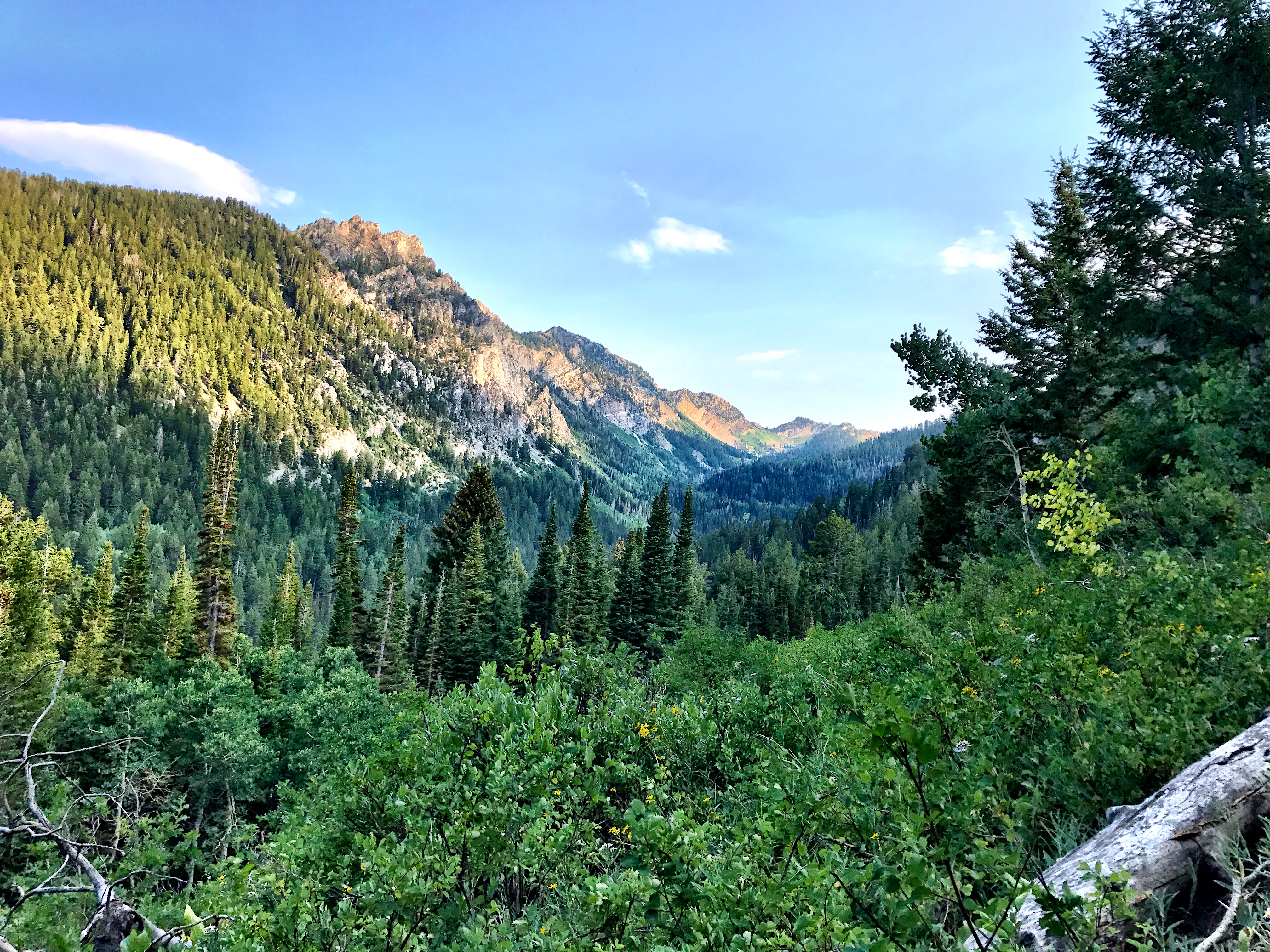 Kessler Peak in Utah's Big Cottonwood Canyon