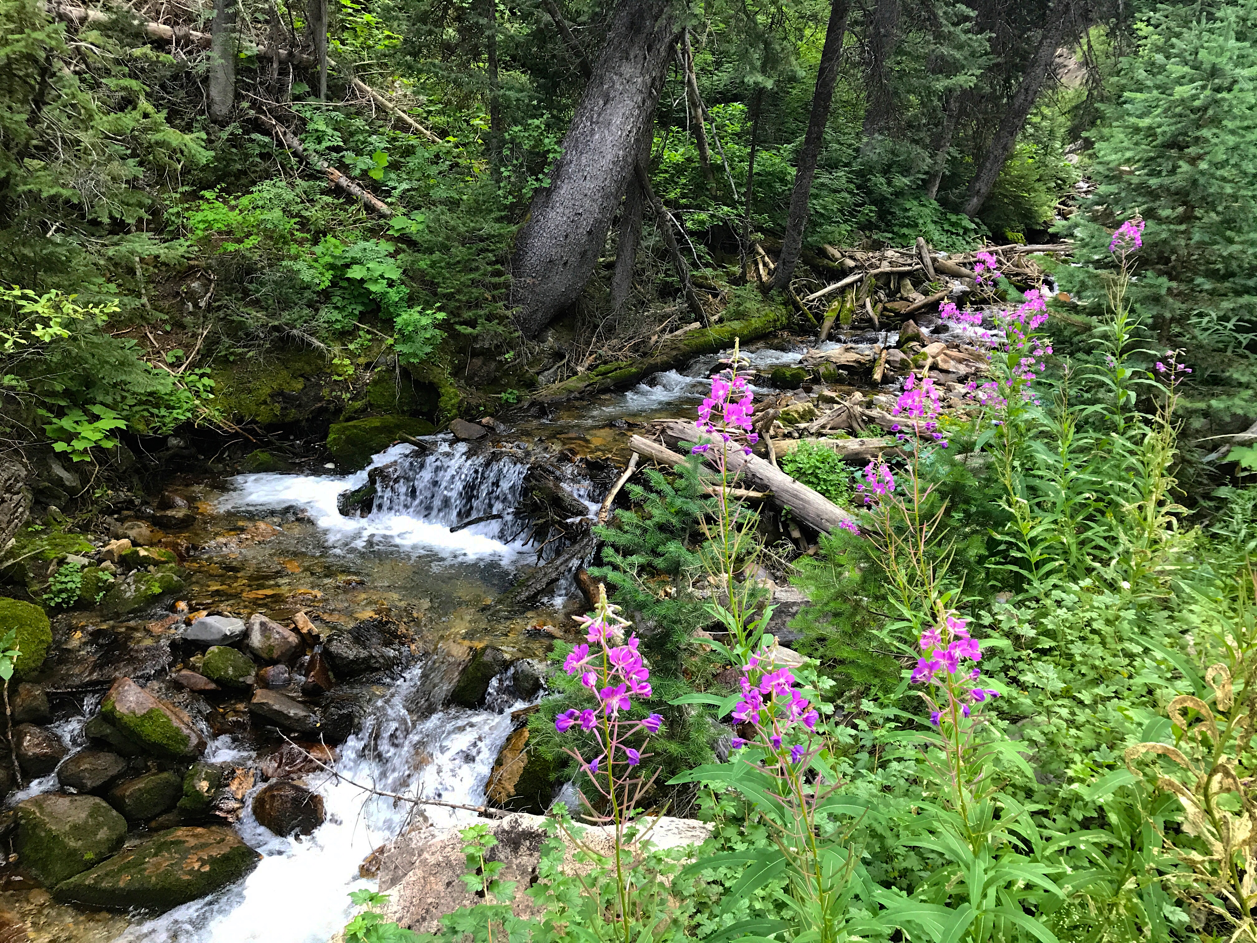 Kessler Peak in Utah's Big Cottonwood Canyon