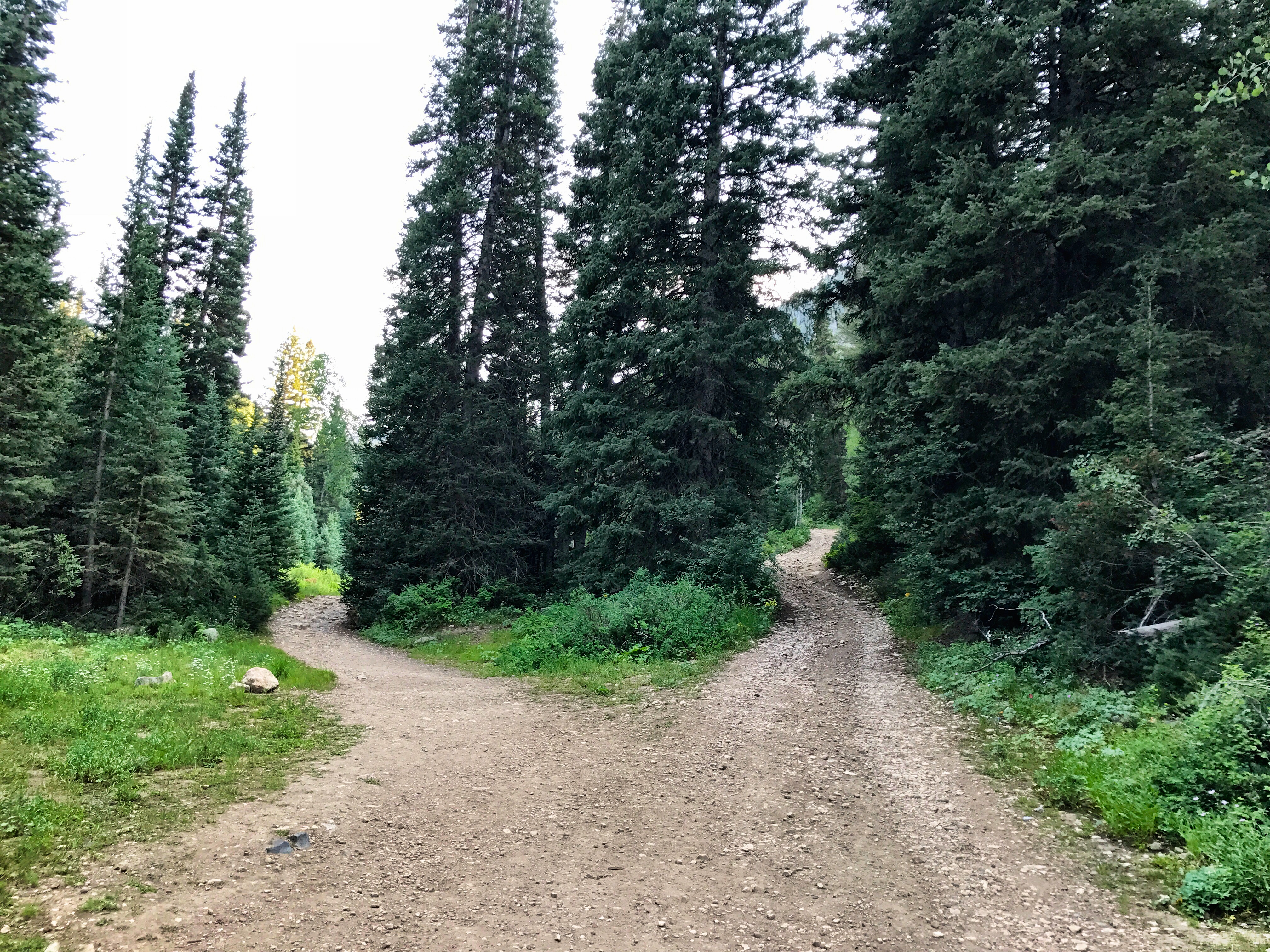 Kessler Peak in Utah's Big Cottonwood Canyon