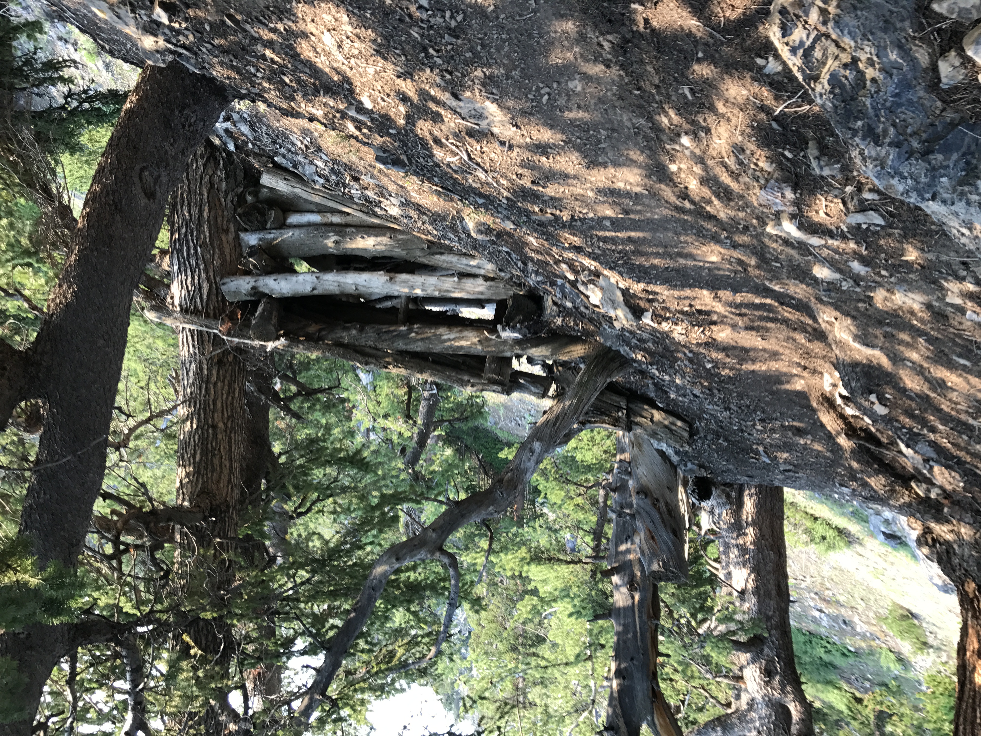 Kessler Peak in Utah's Big Cottonwood Canyon