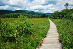 Walk Around the Cranberry Glades, Monongahela NF