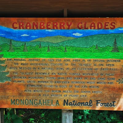 Walk Around the Cranberry Glades, Monongahela NF