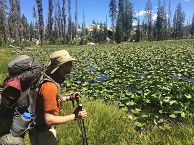 Backpack to Chain Lakes