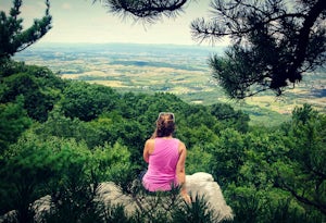 Hike the Bird Knob Trail