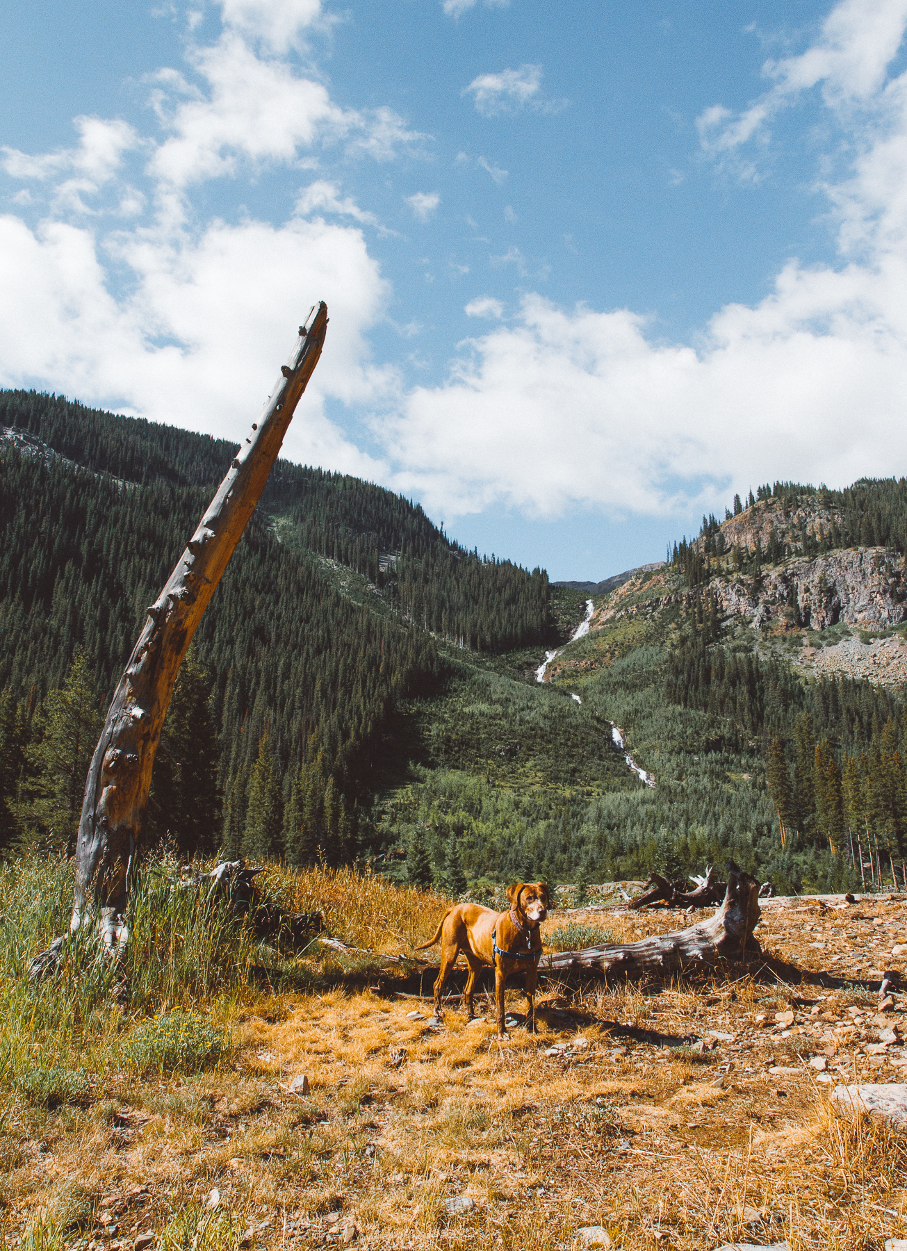 Blue Lake via Oh Be Joyful Campground