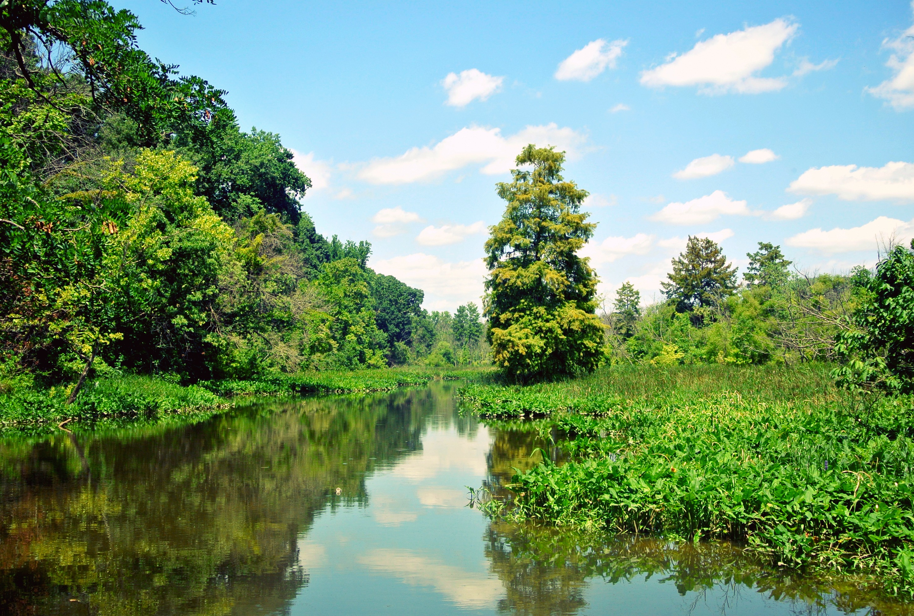 Theodore Roosevelt Island