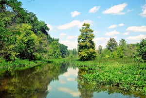 Hike Theodore Roosevelt Island