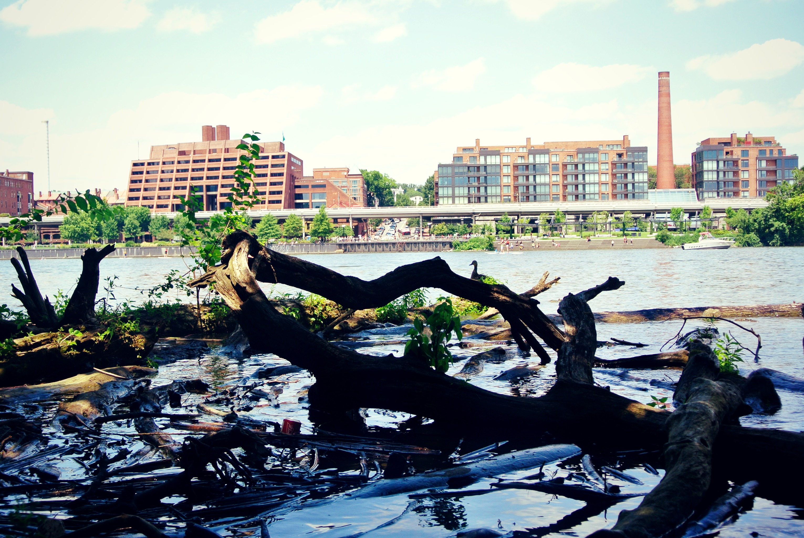 Theodore Roosevelt Island