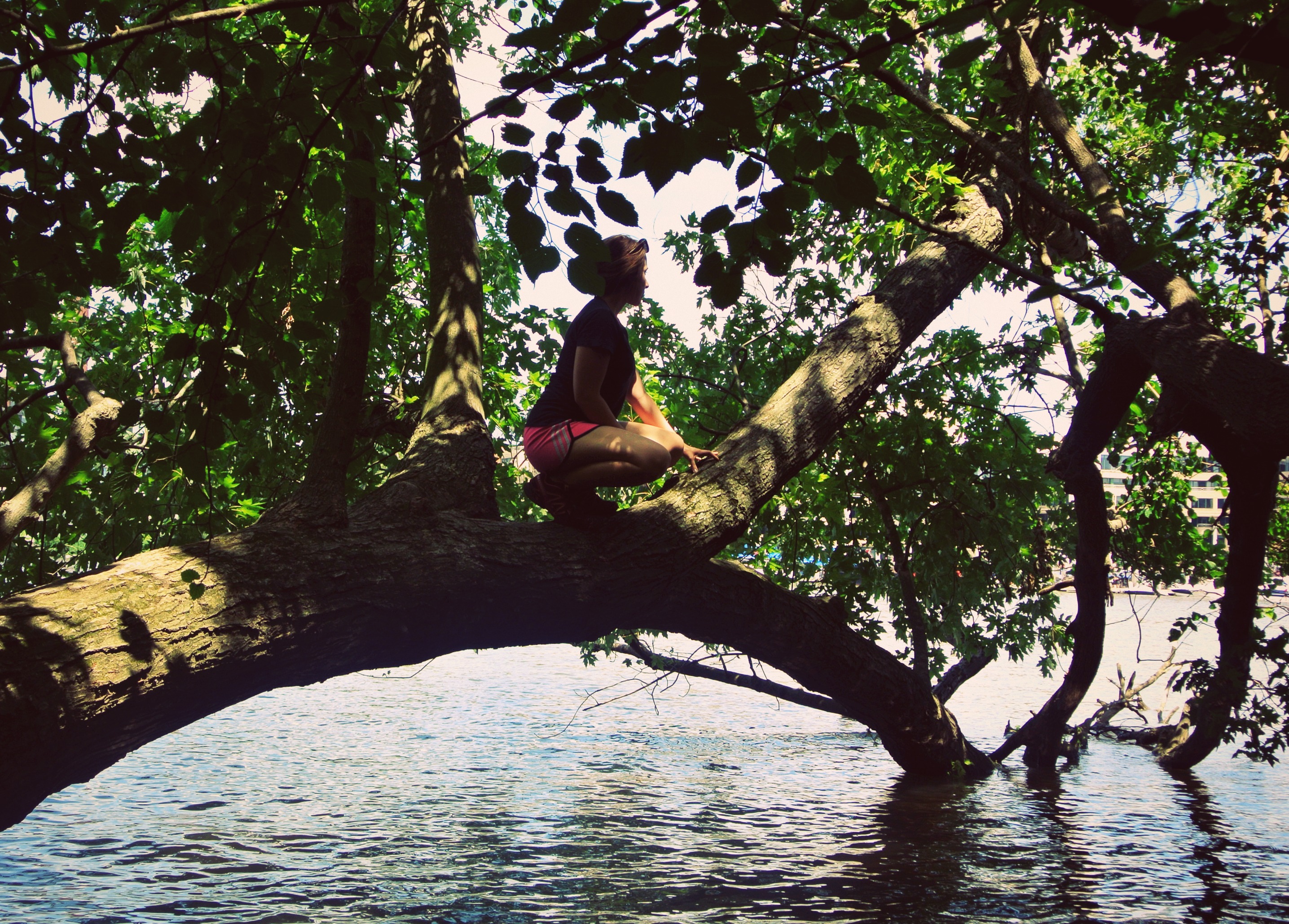 Theodore Roosevelt Island