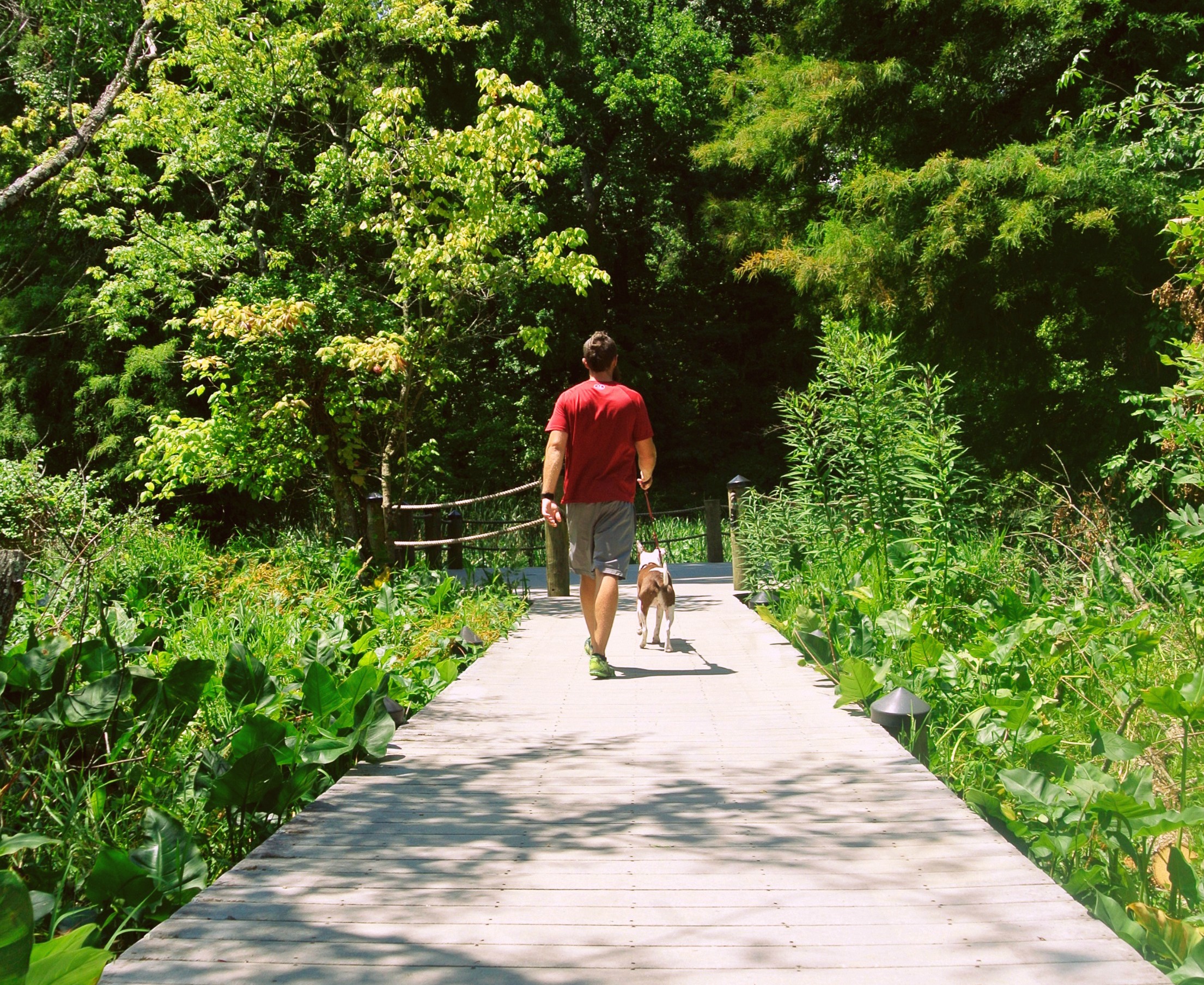 Theodore Roosevelt Island