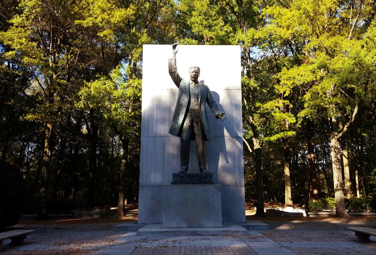 Theodore Roosevelt Island