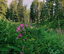 Hike Bowman Fork to Baker Pass