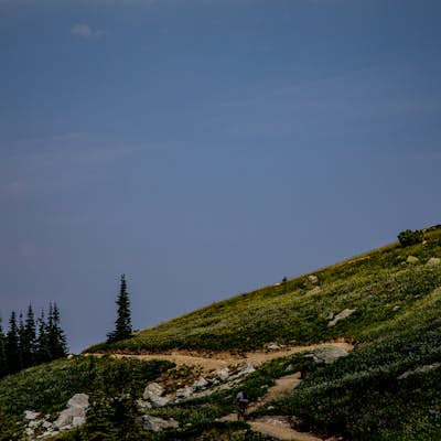 Bike the Whistler Alpine Trail Network