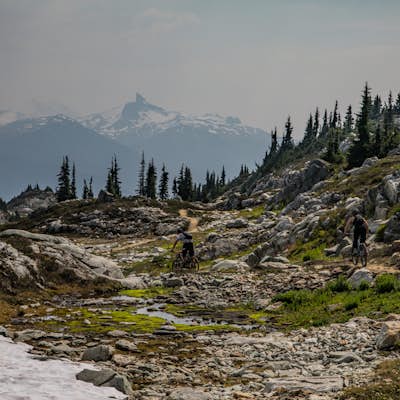 Bike the Whistler Alpine Trail Network
