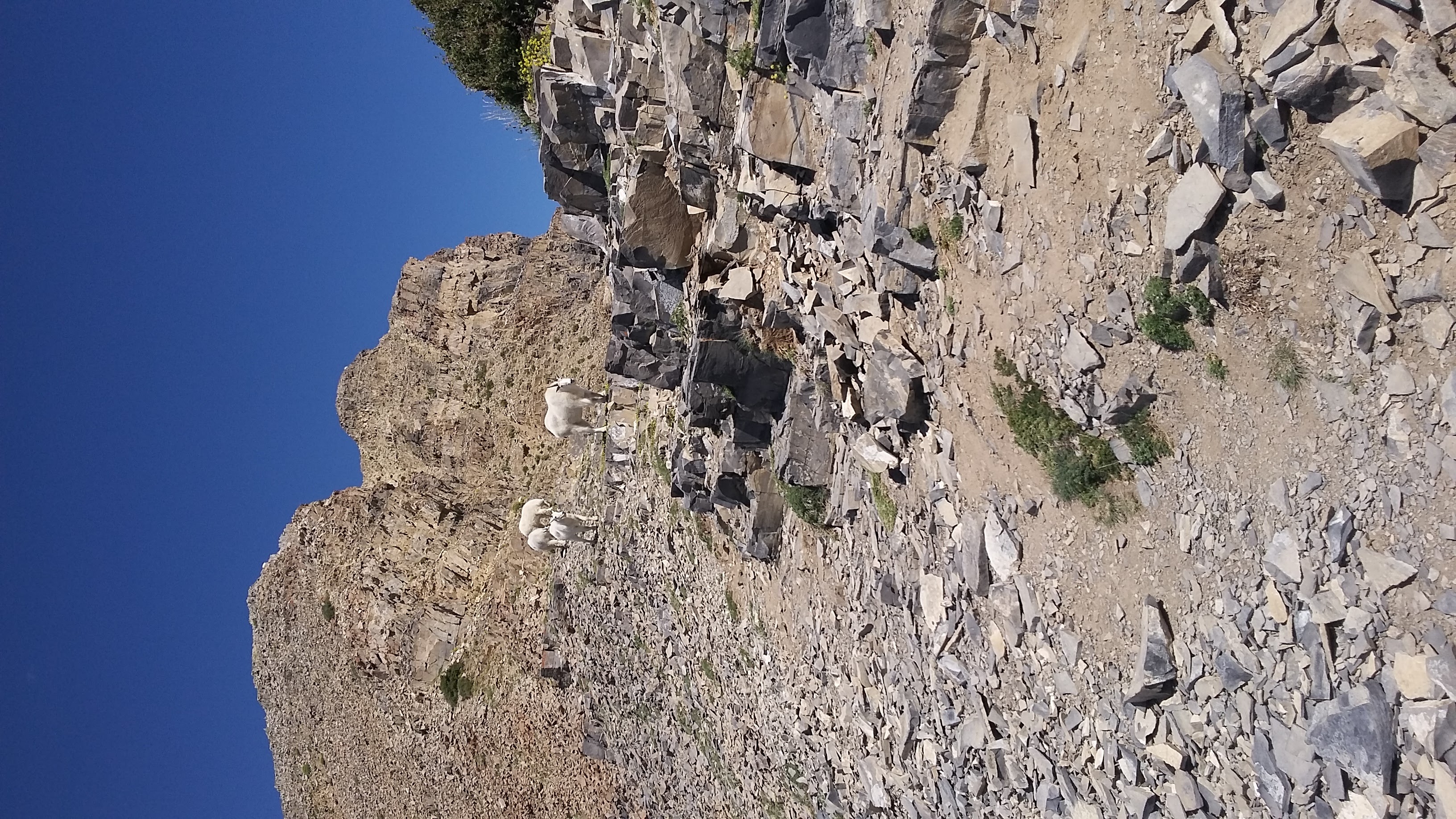 Hike Timpanogos Summit via Timpooneke Trial