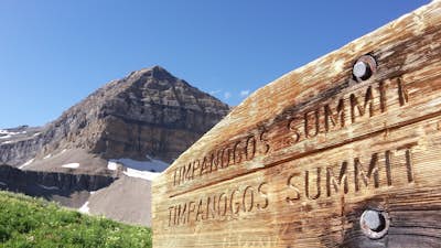 Hike Timpanogos Summit via Timpooneke Trial