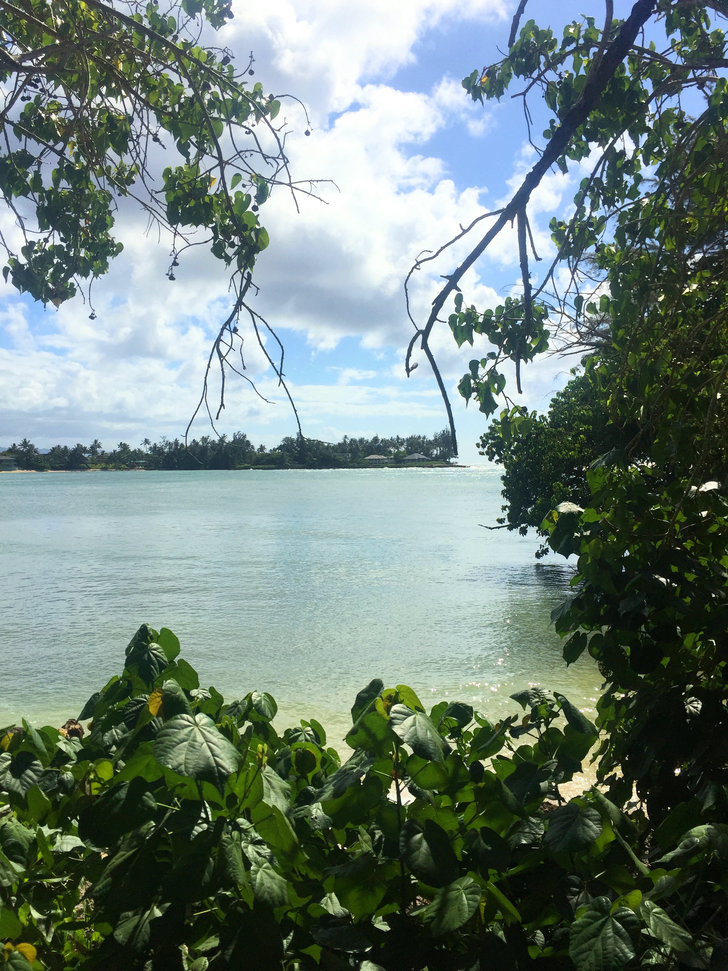 Hike from Turtle Bay to Kawela Bay