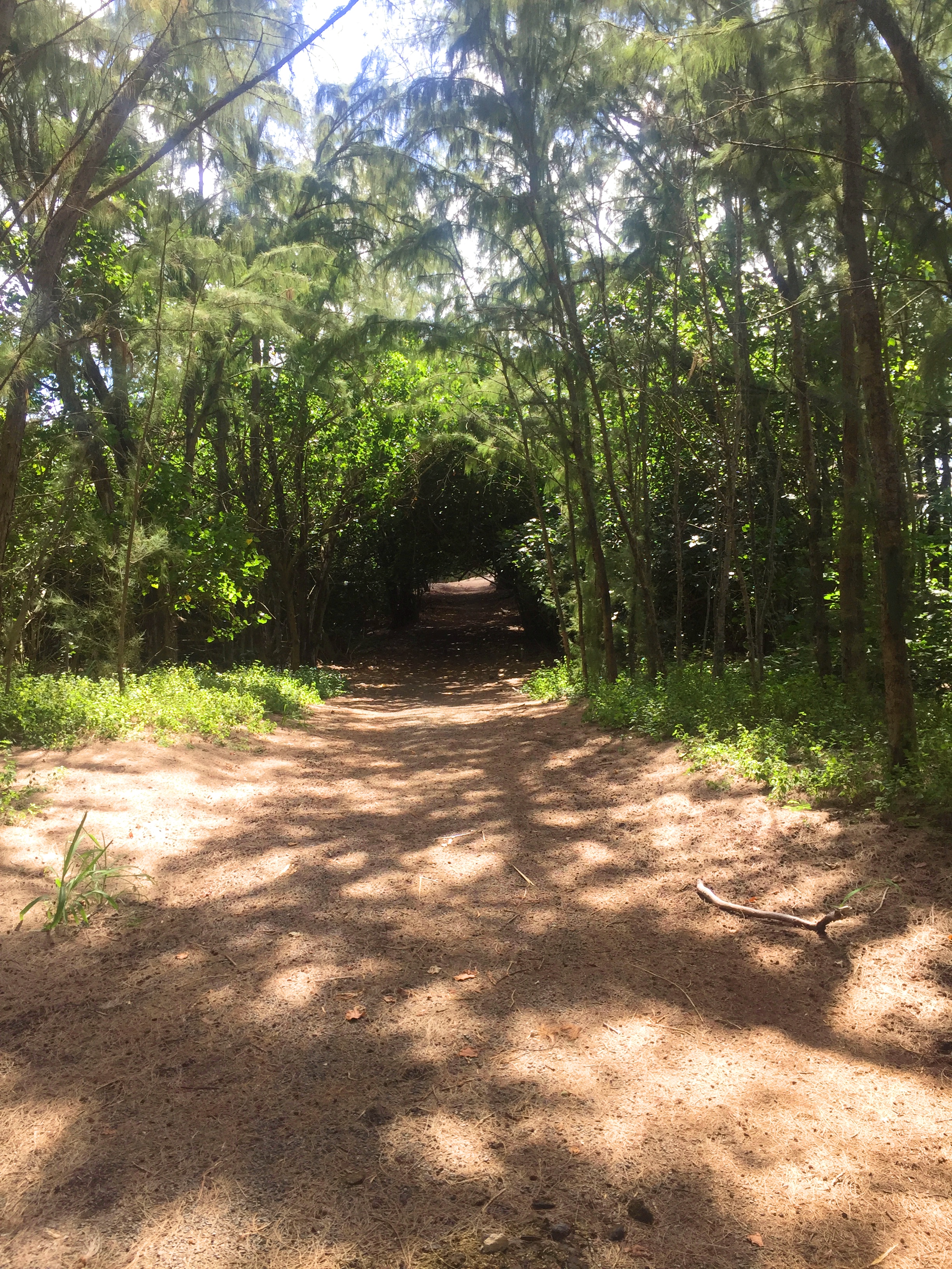 Hike from Turtle Bay to Kawela Bay