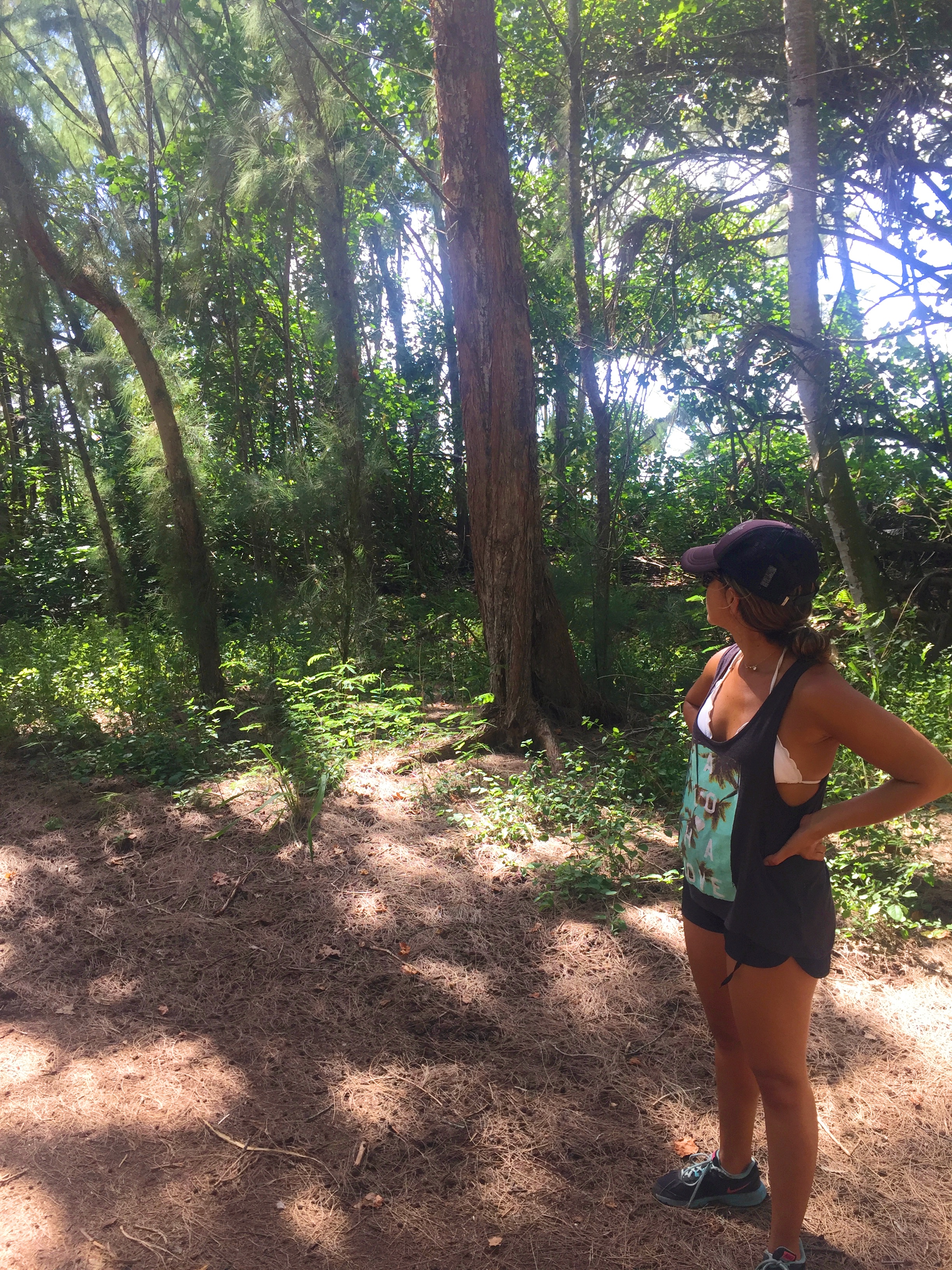 Hike from Turtle Bay to Kawela Bay