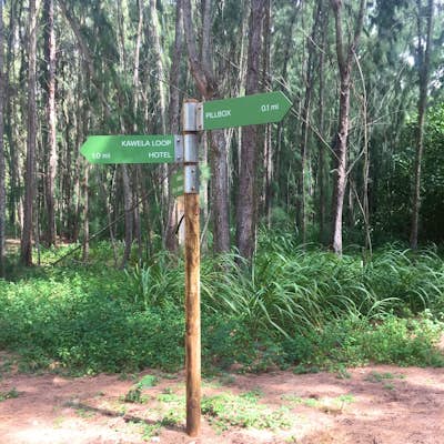 Hike from Turtle Bay to Kawela Bay