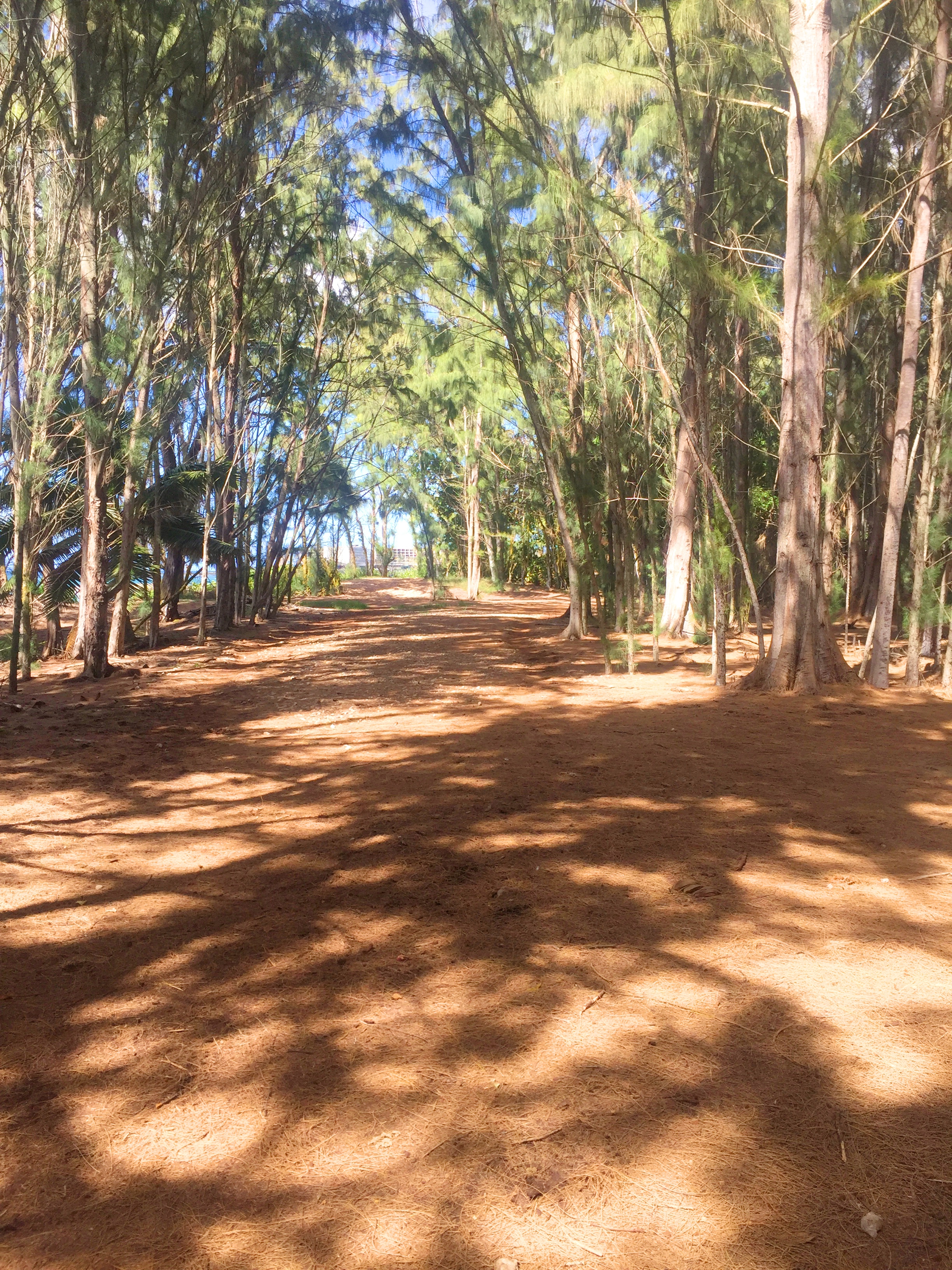 Hike from Turtle Bay to Kawela Bay