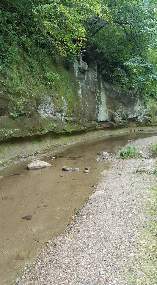 Hike Ledges State Park's Canyon Road