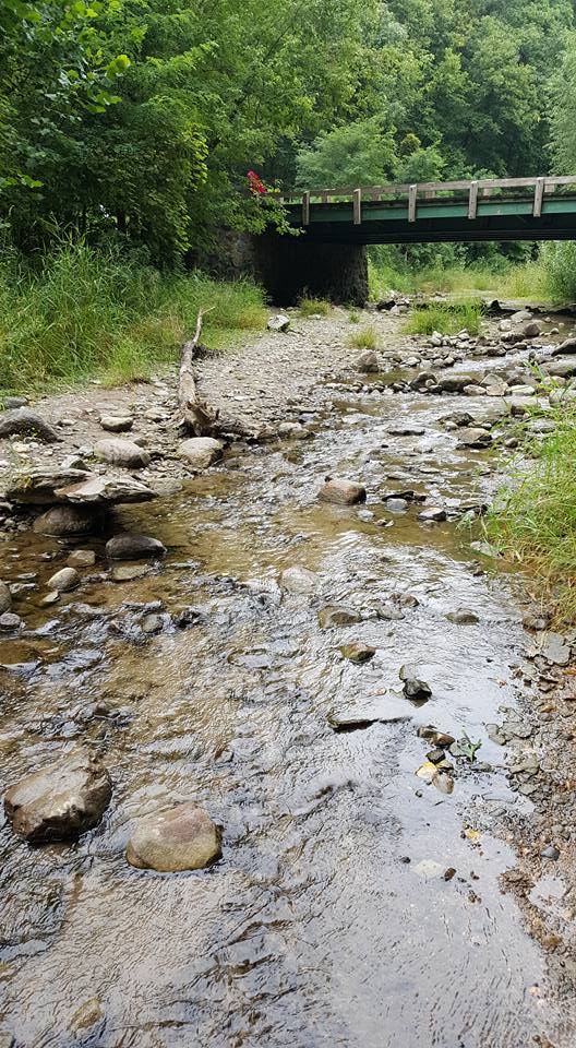 Hike Ledges State Park's Canyon Road