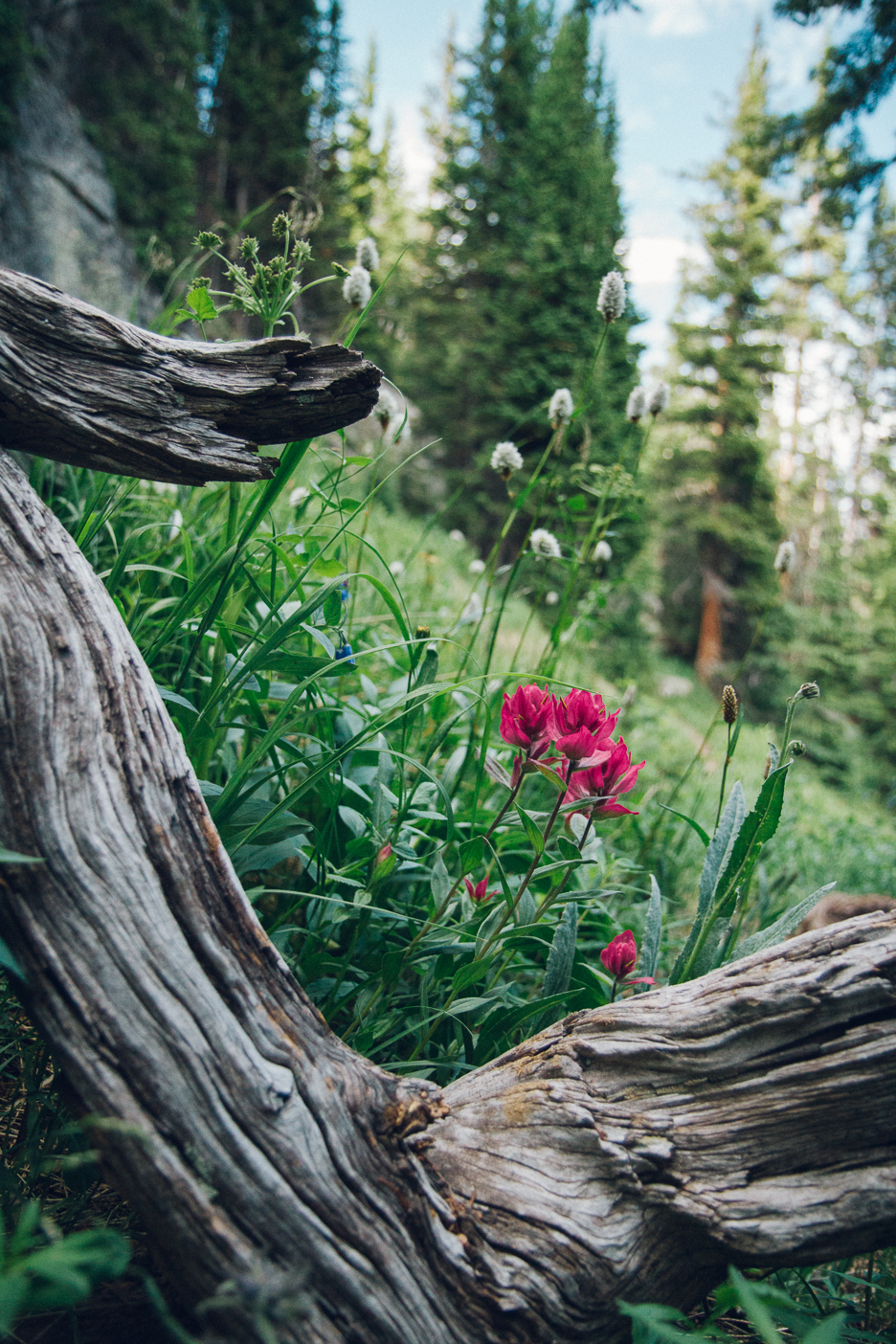 Hike to Tuhare Lakes