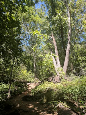 Fossil Creek Wilderness Area 
