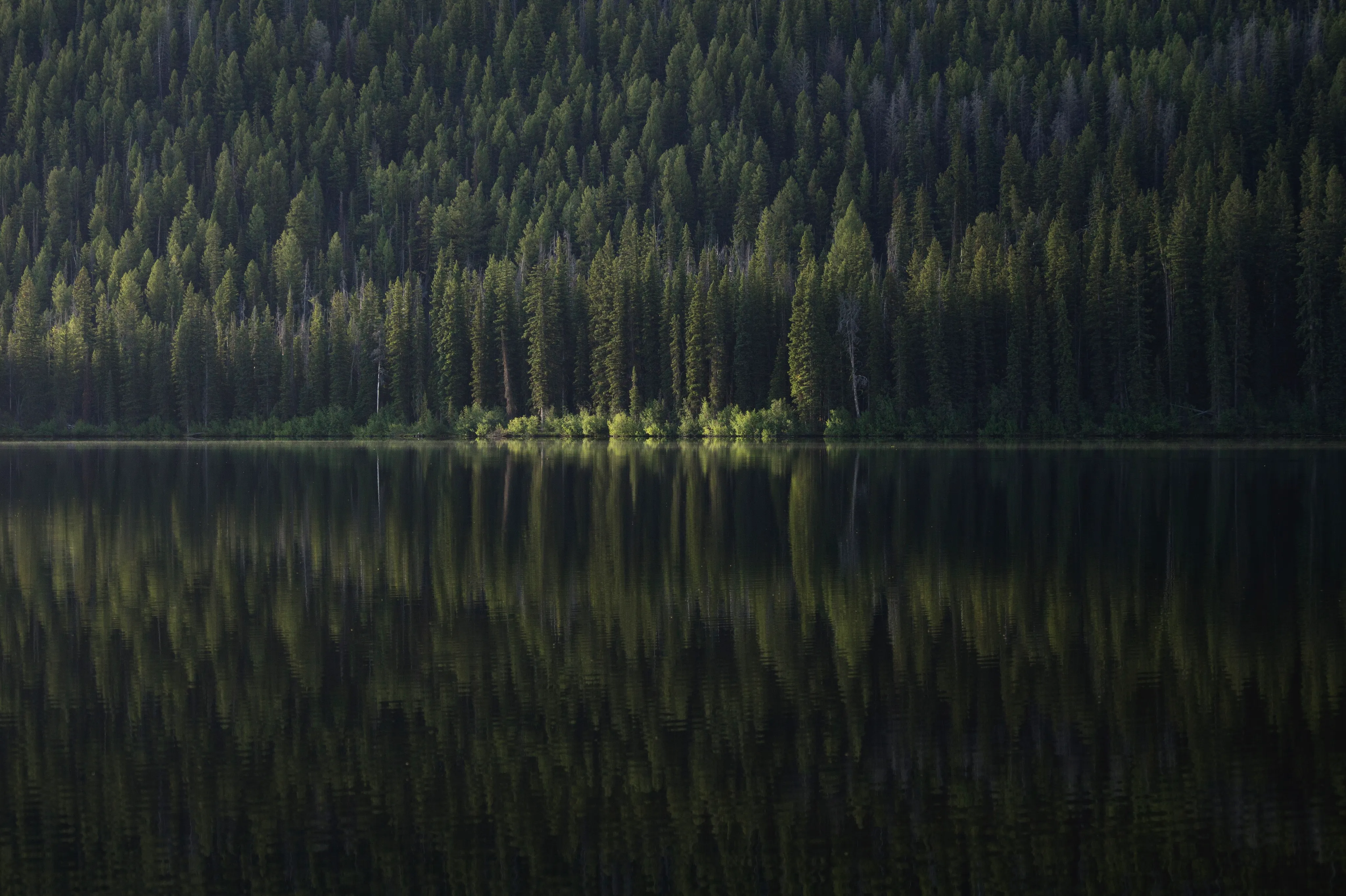 Photograph McGowan Peak & Stanley Lake at Sunrise 