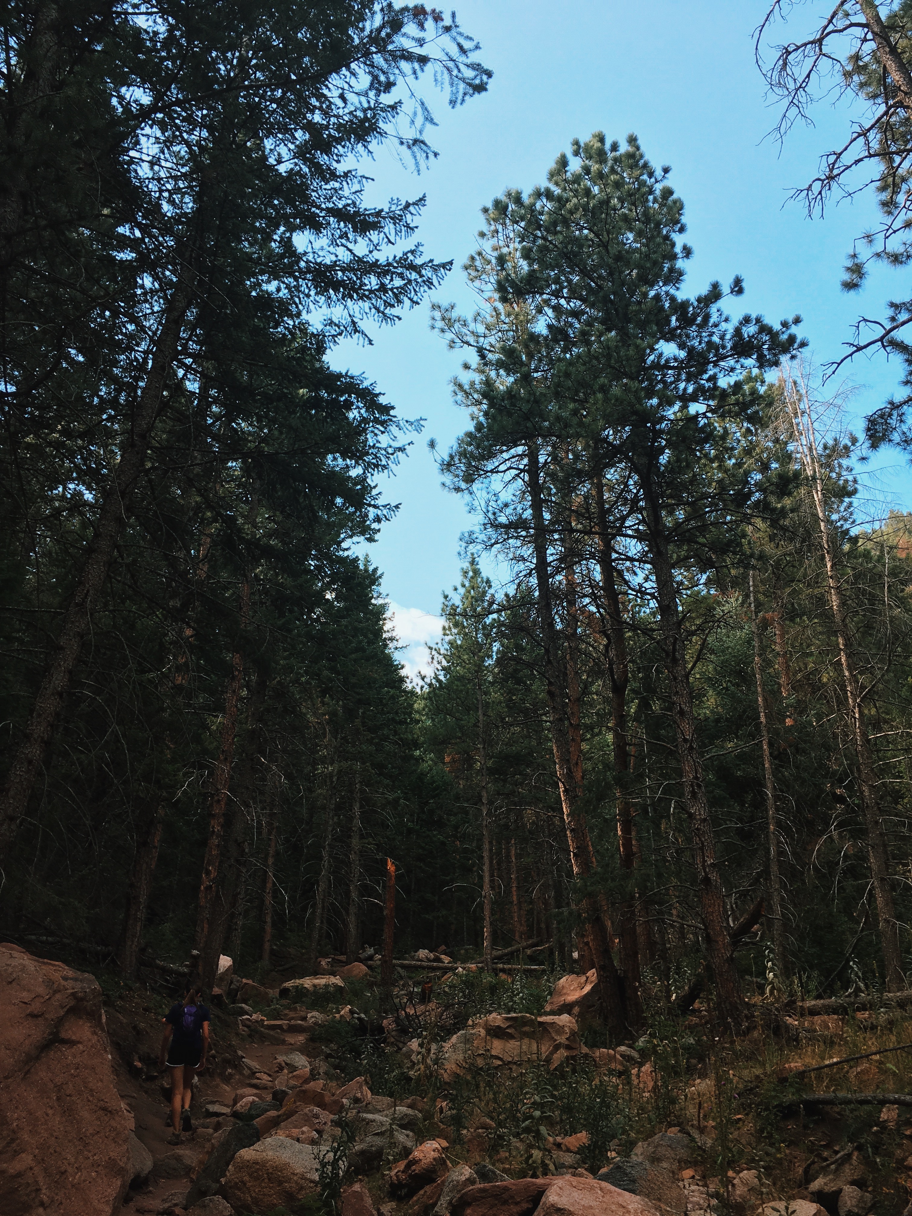 Saddle Rock Trail 