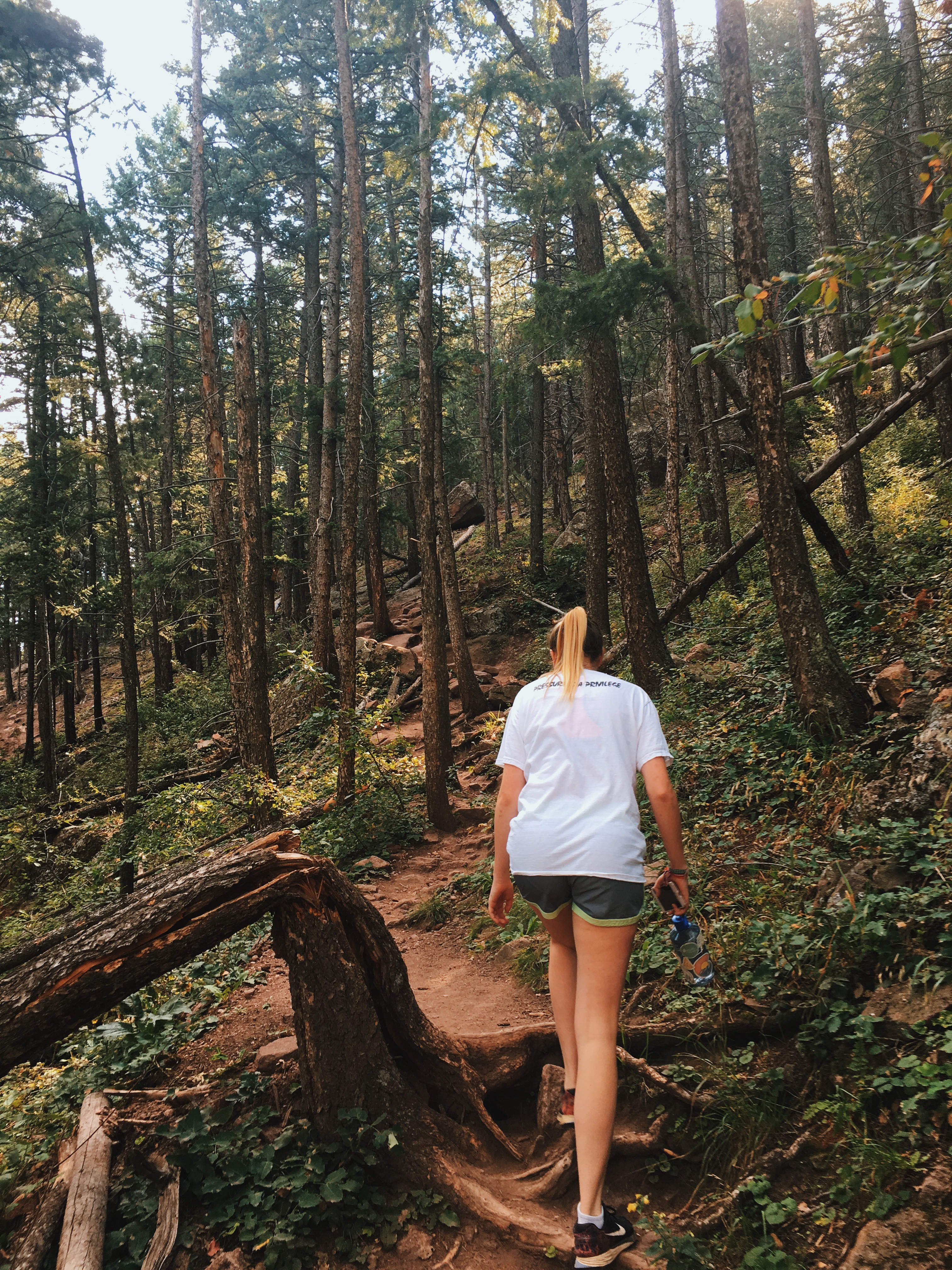 Saddle Rock Trail 