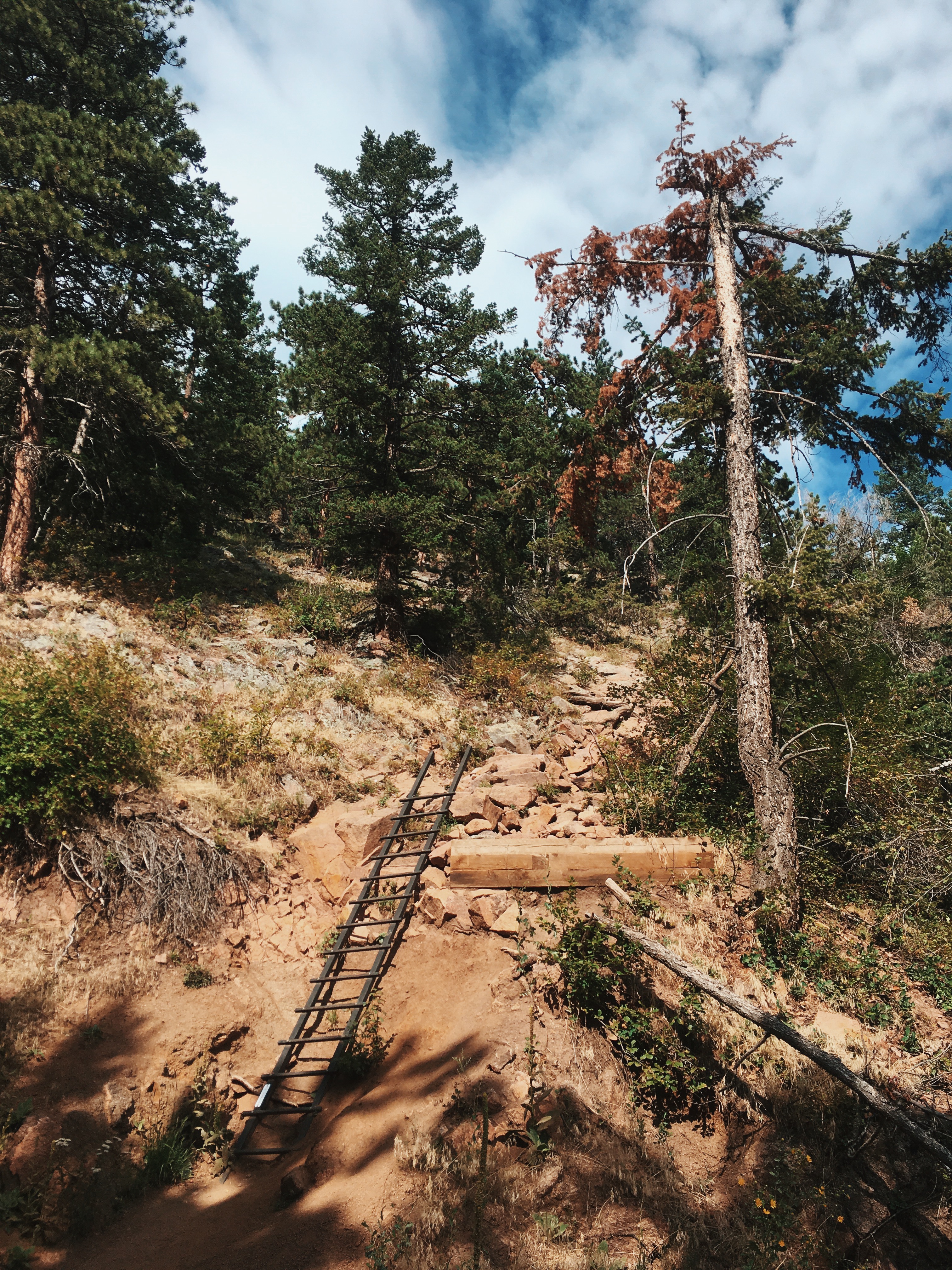 Saddle Rock Trail 