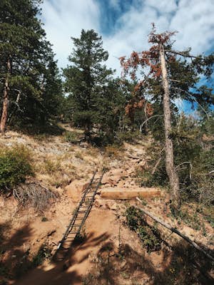Hike the Saddle Rock Trail 