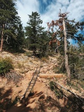 Hike the Saddle Rock Trail 