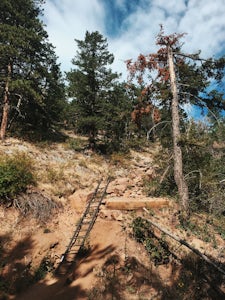 Saddle Rock Trail 