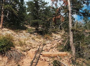 Hike the Saddle Rock Trail 