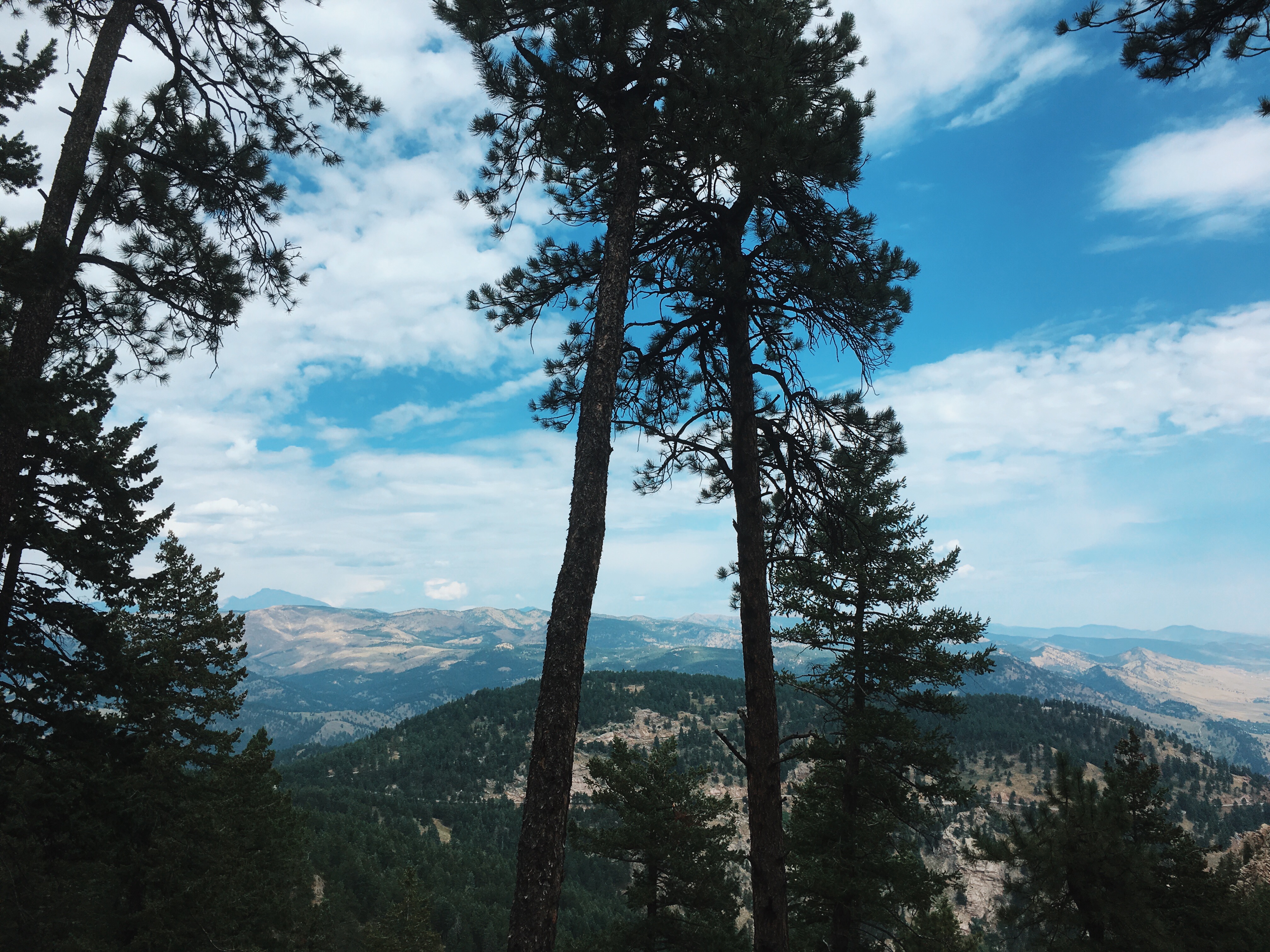 Saddle Rock Trail 