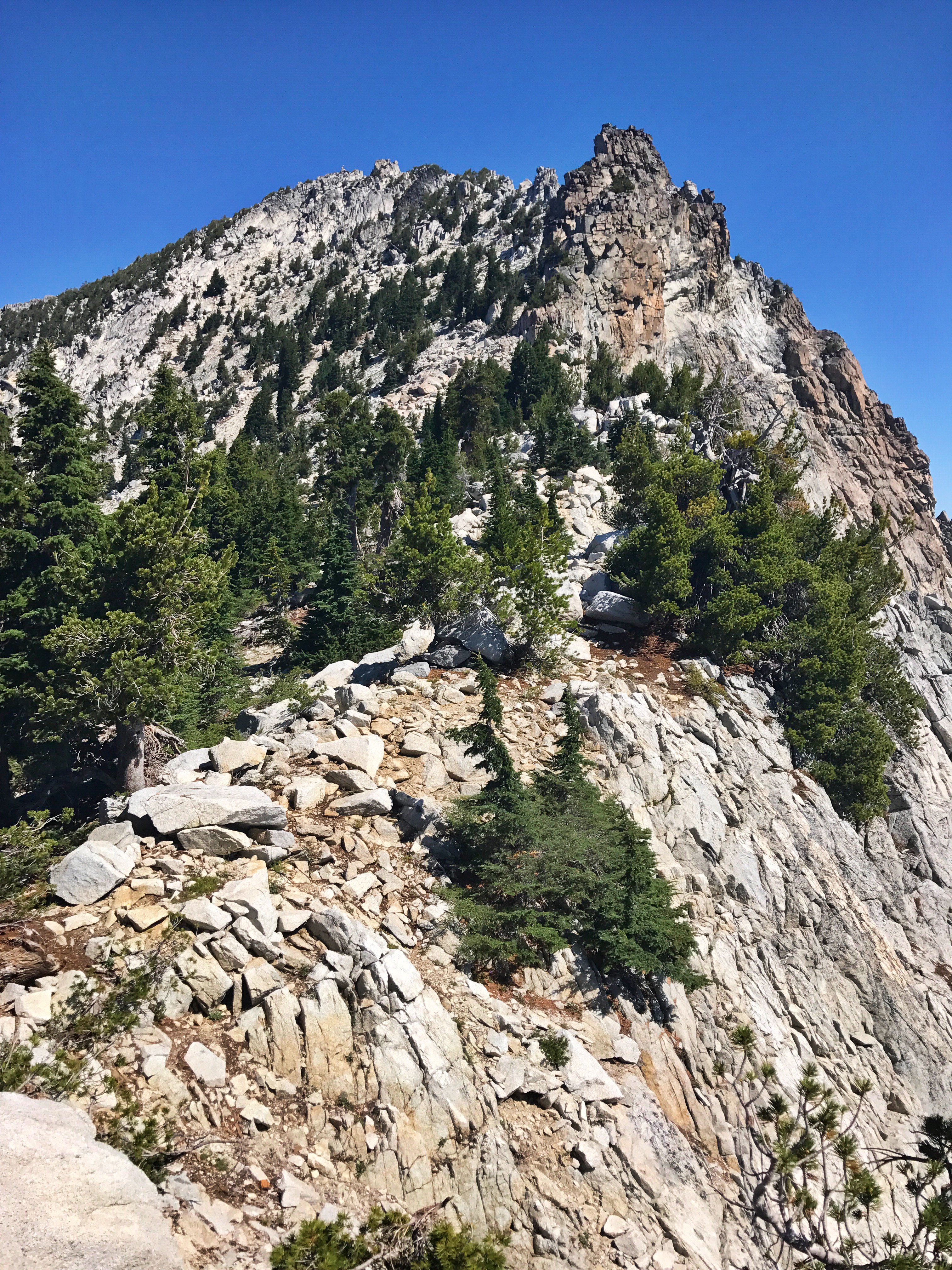 Scramble Thompson Peak