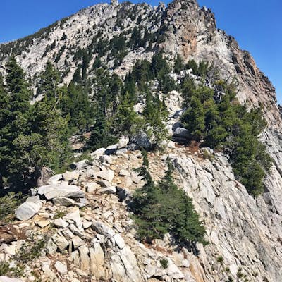 Scramble Thompson Peak