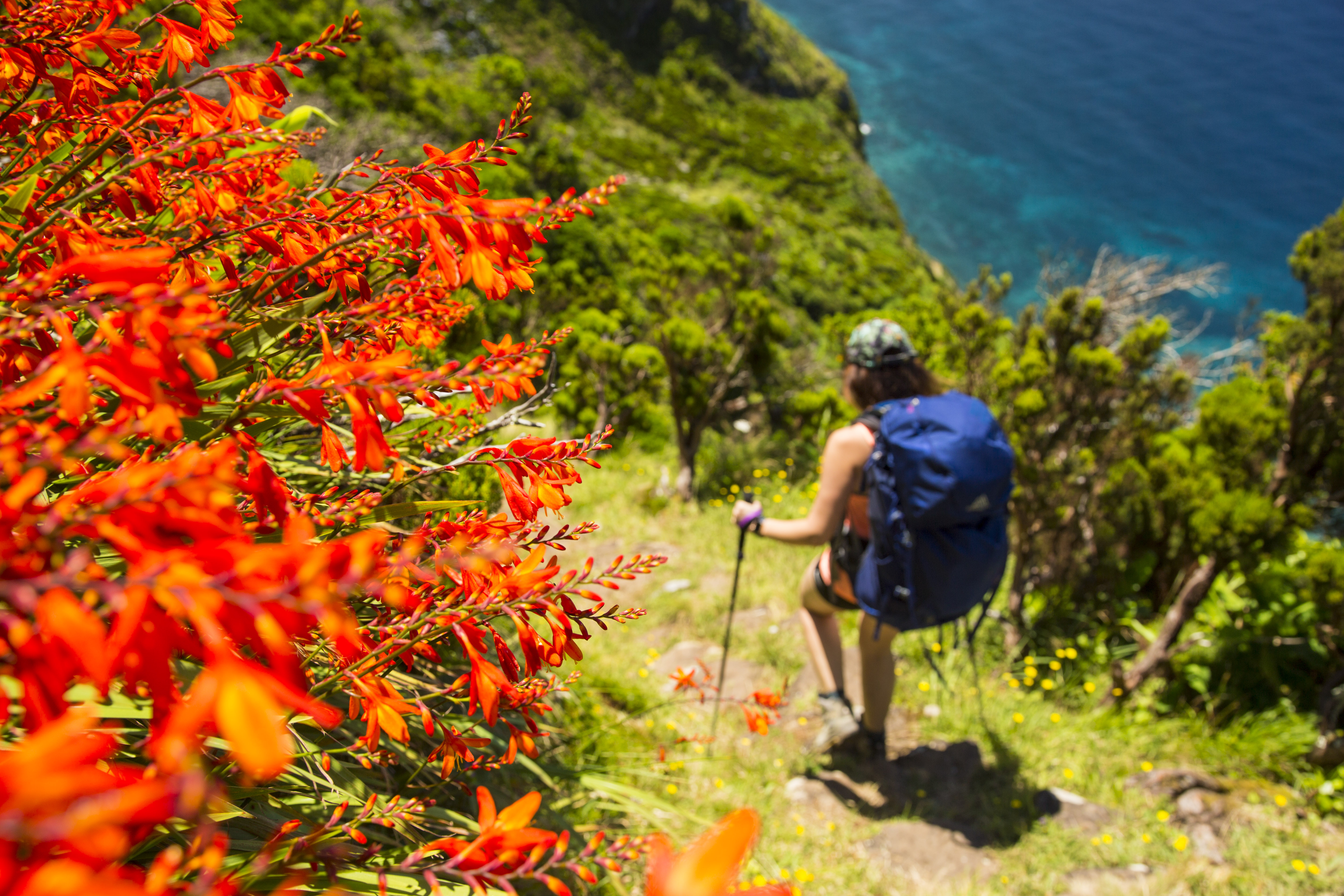Hike Ponta Delgada to Faja Grande