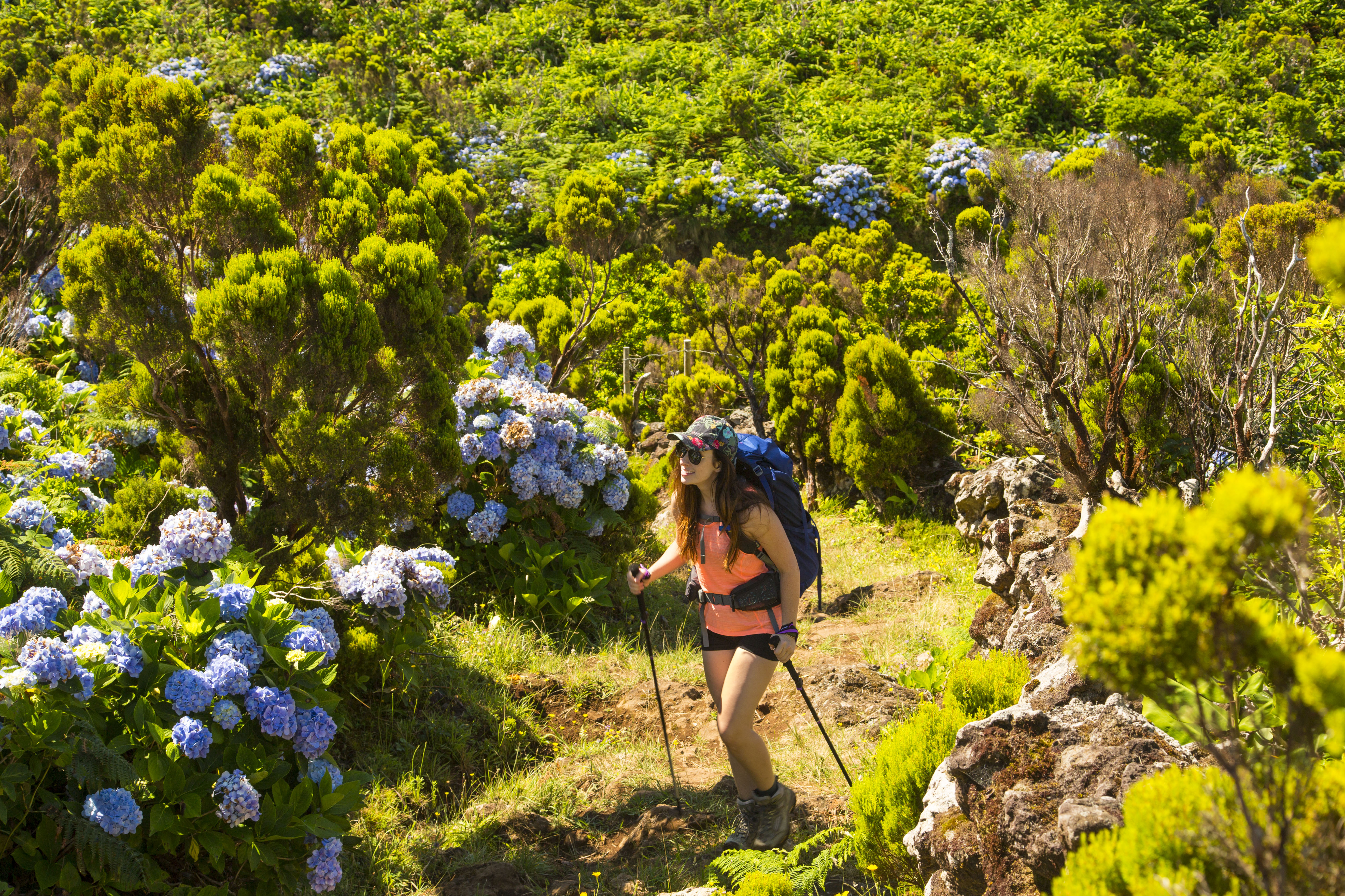 Hike Ponta Delgada to Faja Grande