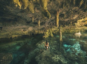 Explore Cenote Dos Ojos