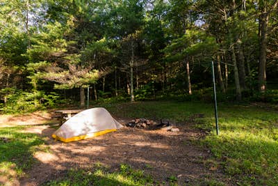Camp at Comers Rock Recreation Area
