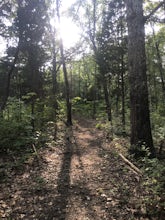 Hike the Joyce Bender Trail in the Crooked Creek Nature Preserve