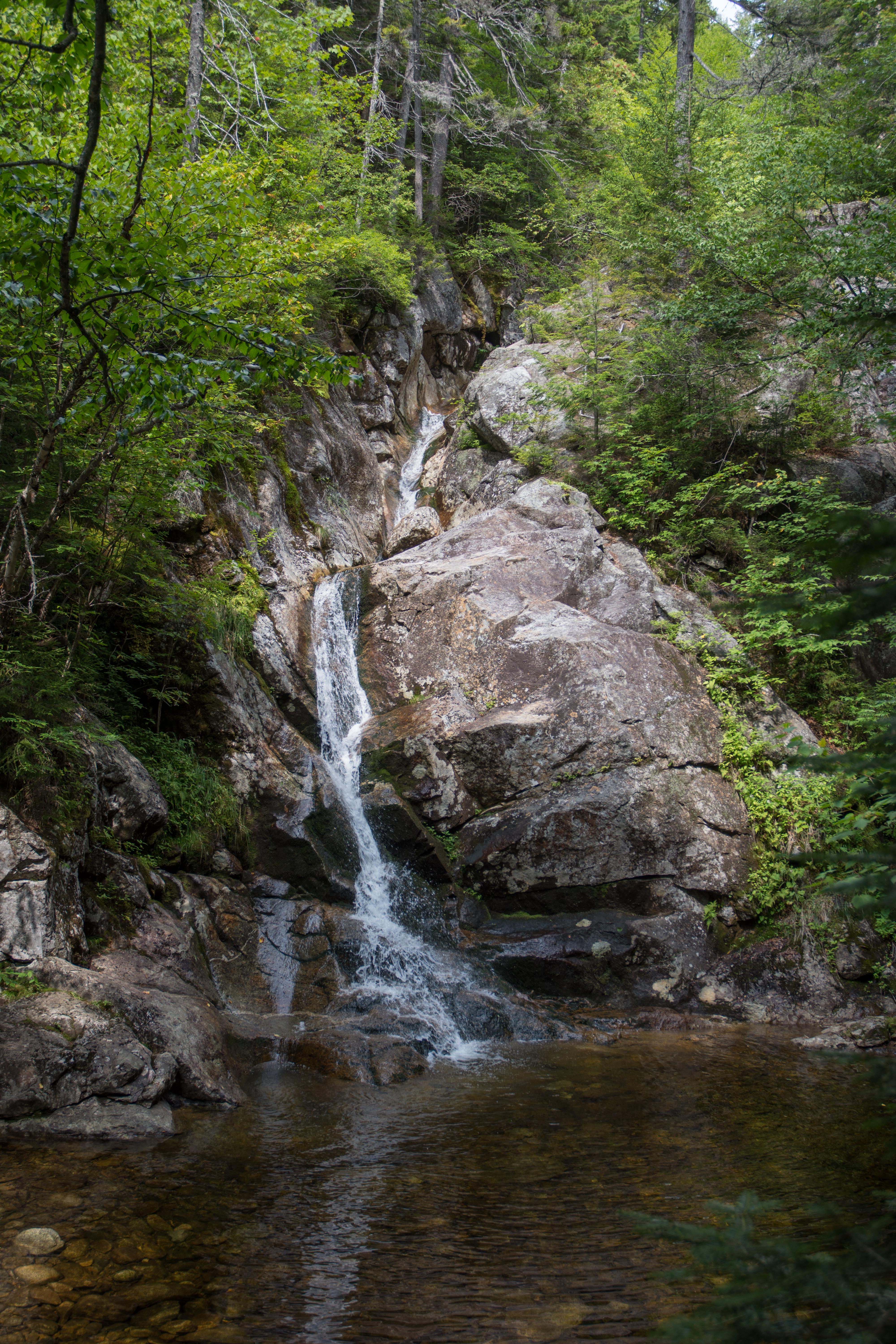 Hike Mt. Pierce