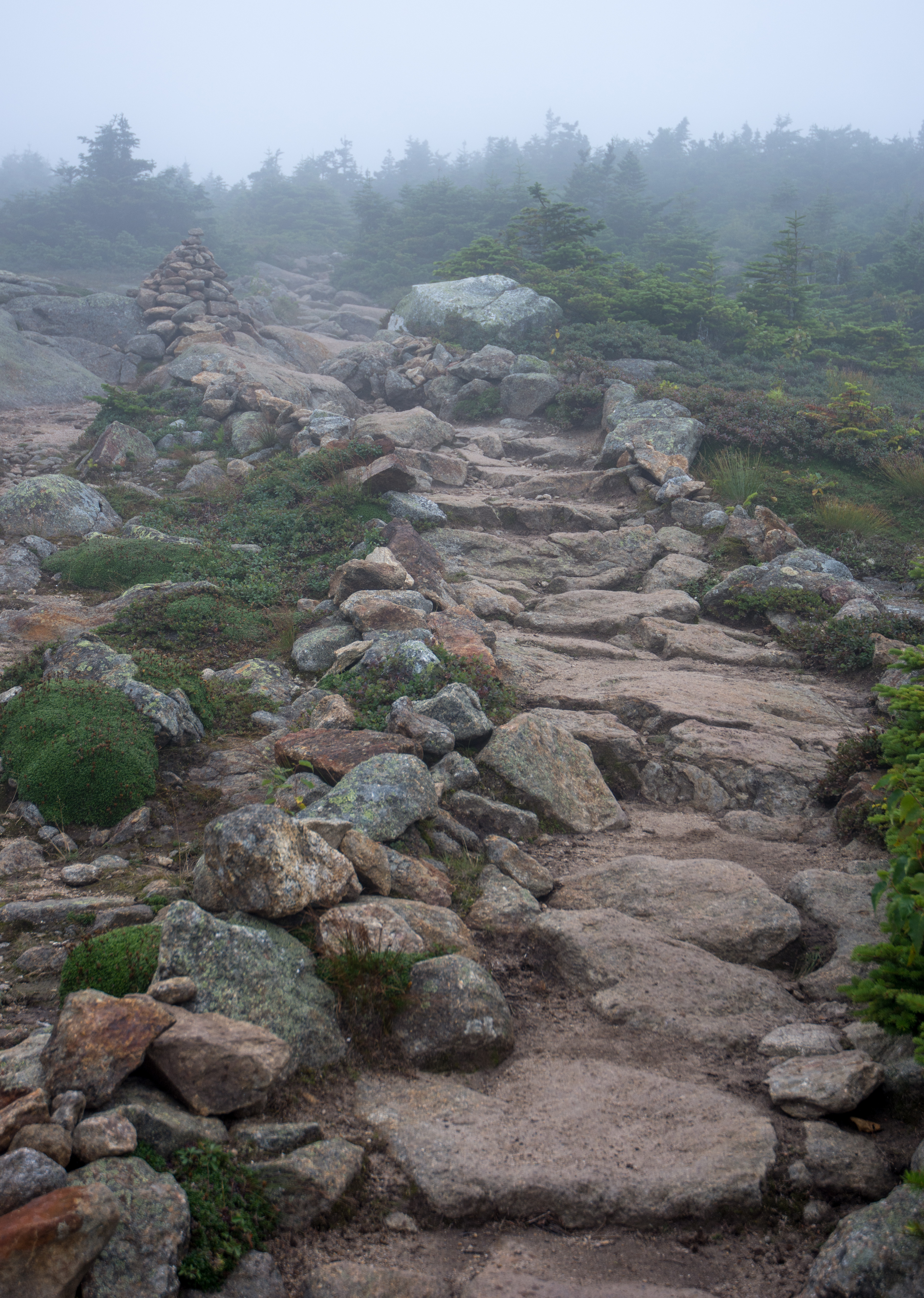Hike Mt. Pierce
