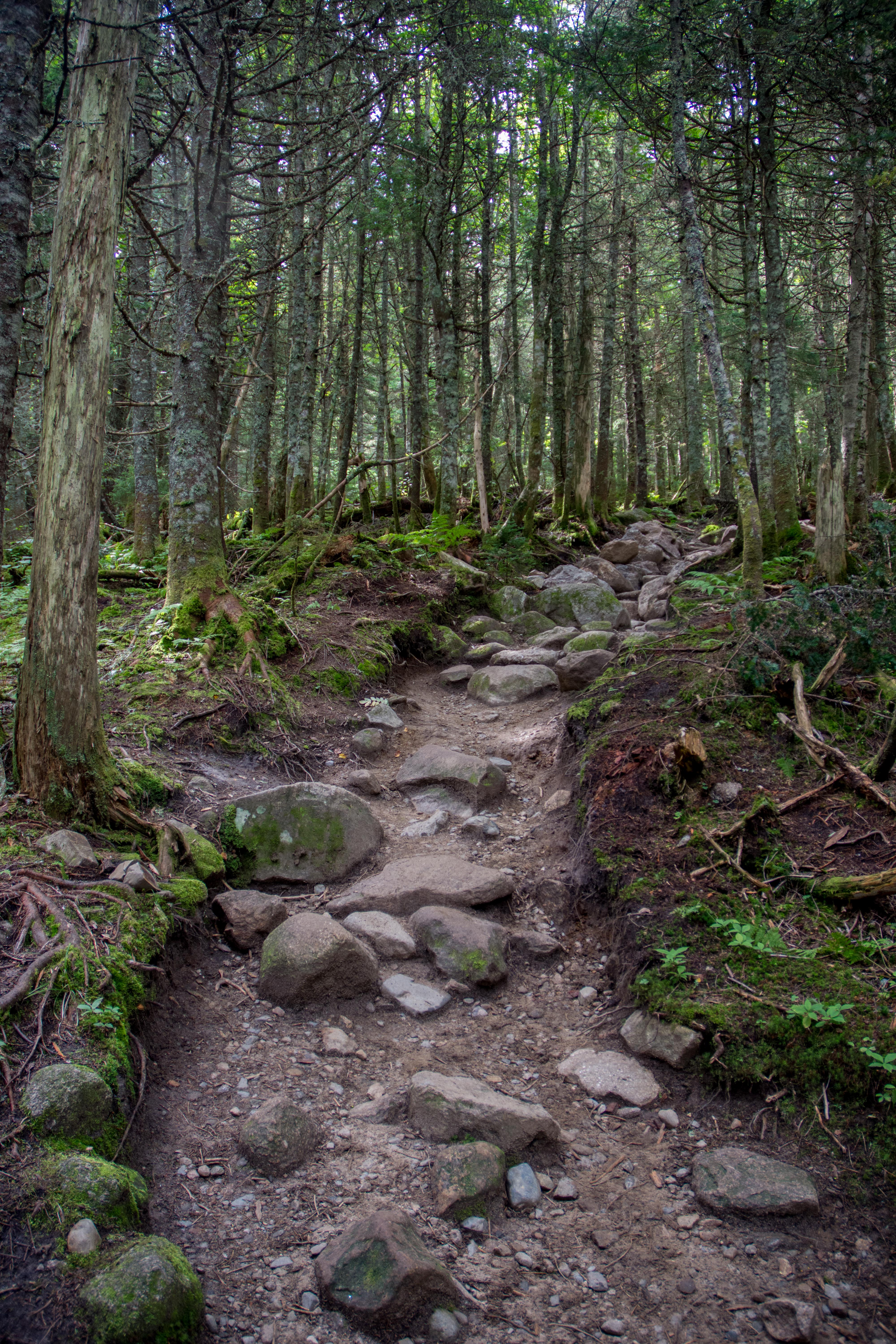 Hike Mt. Pierce